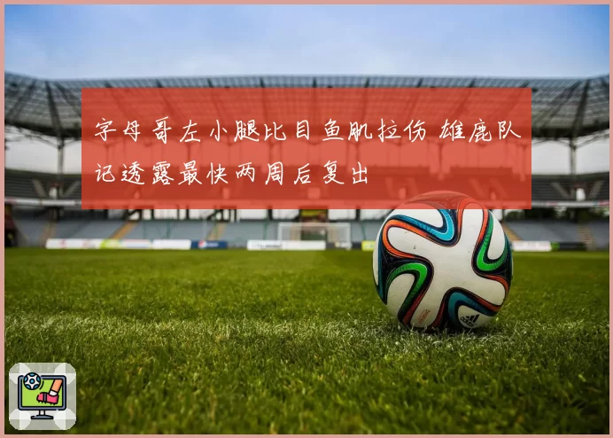 字母哥左小腿比目鱼肌拉伤 雄鹿队记透露最快两周后复出