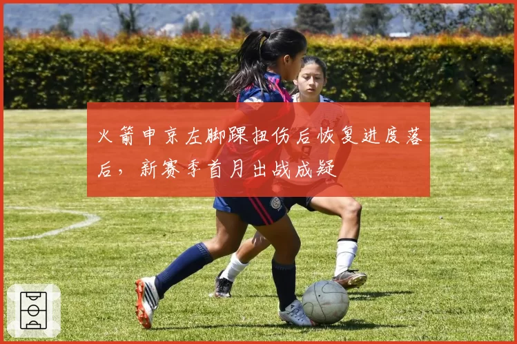 火箭申京左脚踝扭伤后恢复进度落后,新赛季首月出战成疑